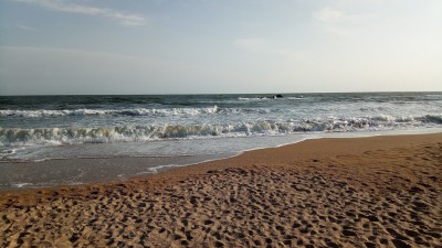 IMG_20170704_064903.jpg