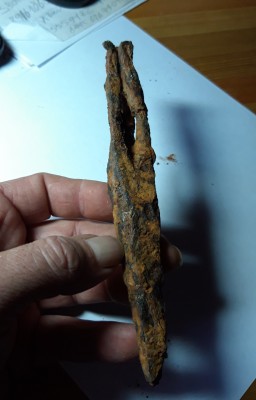 20190912_172337.jpg