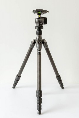 8U3A1513.jpg