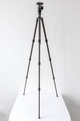 8U3A1518.jpg