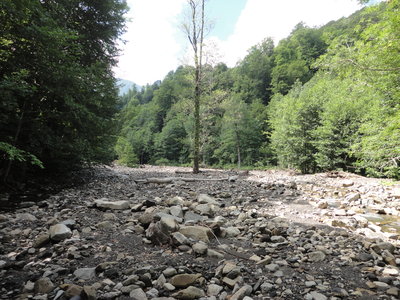 DSC08653.JPG