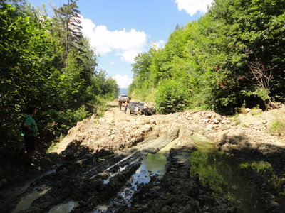 DSC08681.JPG