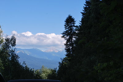 DSC_4195.JPG