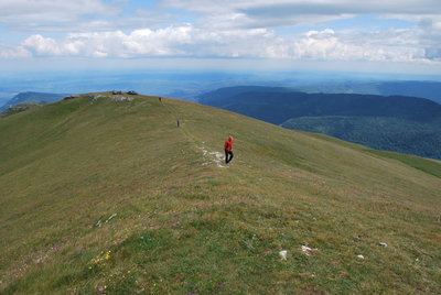 DSC_4400.JPG