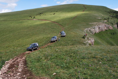 DSC_4481.JPG