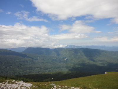 DSC08741.JPG