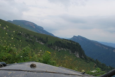 DSC_4594.JPG
