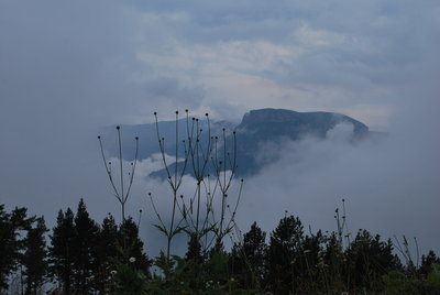 DSC_4600.JPG