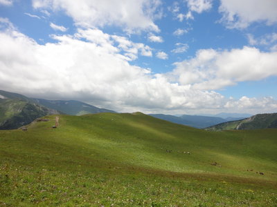 DSC08785.JPG