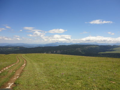 DSC08801.JPG