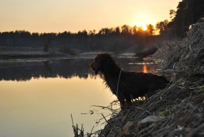 DSC_0246_1.jpg (100.22 КБ) Просмотров: 4642 DSC_0246_1.jpg