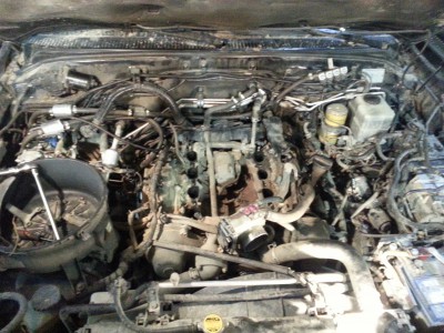 20140717_113906.jpg