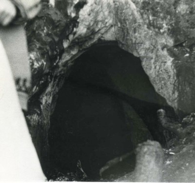 img064_1.jpg (193.09 КБ) Просмотров: 4748 img064_1.jpg