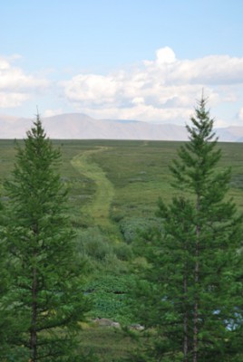 136.JPG