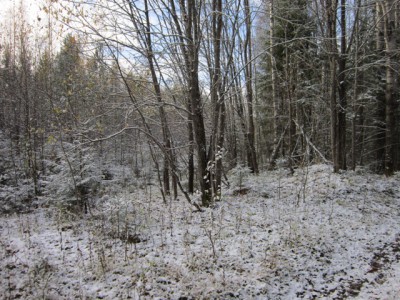 IMG_1137.JPG