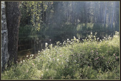 01_IMG_3908.JPG (367.83 КБ) Просмотров: 7639 01_IMG_3908.JPG