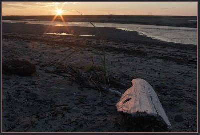 08_IMG_4287.JPG (216.6 КБ) Просмотров: 7639 08_IMG_4287.JPG