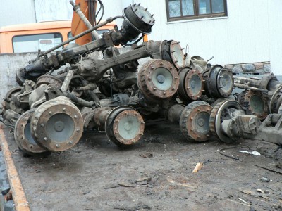 лапы.JPG