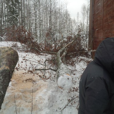 IMG-20160223-WA0014.jpg (494.89 КБ) Просмотров: 2898 IMG-20160223-WA0014.jpg