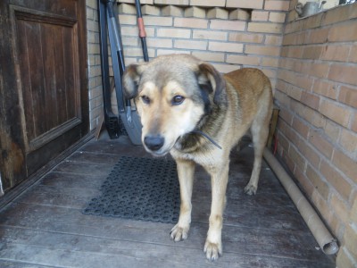 IMG_9441.JPG (2.53 МБ) Просмотров: 4988 IMG_9441.JPG