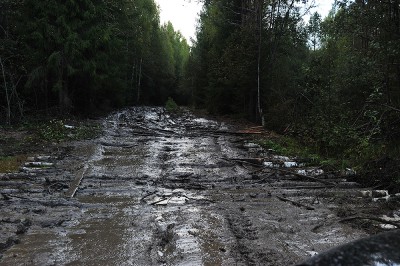 DSC_9004_3.jpg